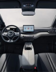BYD Dolphin Surf